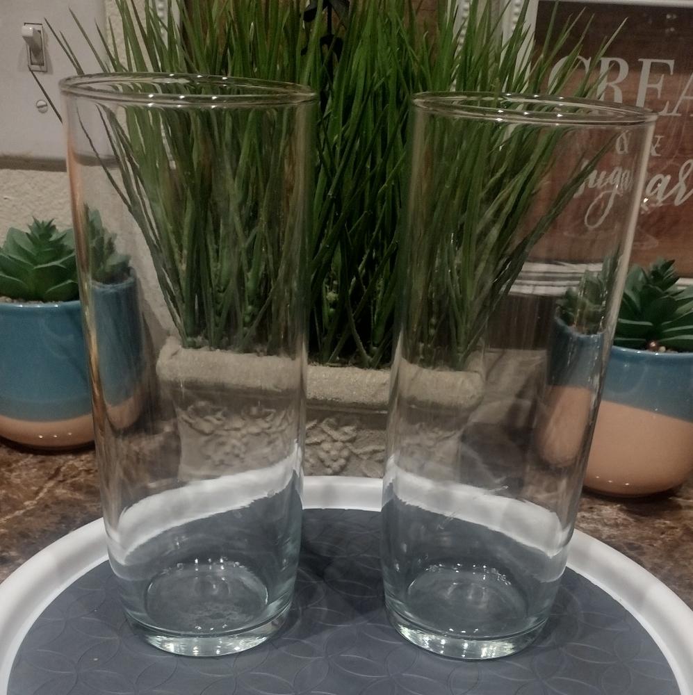 Set Of (2) Elegant Drinking Glasses